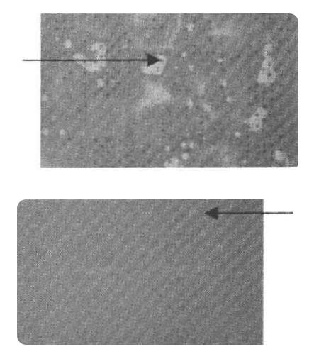 掃描圖對(duì)比 掃描圖對(duì)比